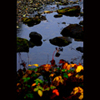 Colors of the Creek Bed Thumbnail